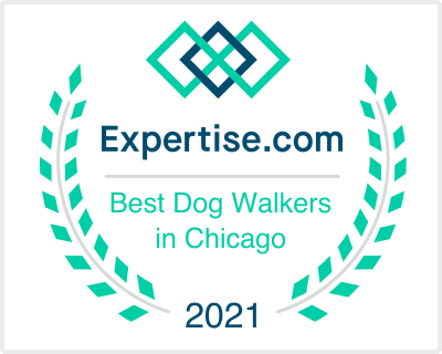 il_chicago_dog-walkers_2021